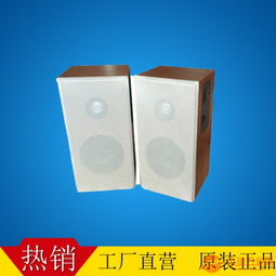 深圳優安宏工廠企業 ip網絡音箱 室內