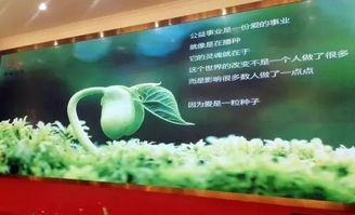 以刀為筆，以玉載道 福建省寶協(xié)玉石雕刻專業(yè)委員會藝術(shù)公益之路